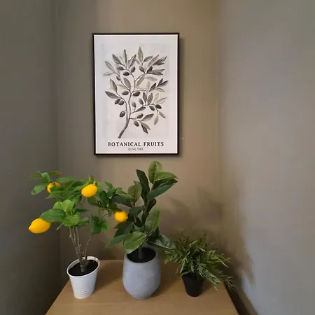 Large Luxurious In Location * Dublin